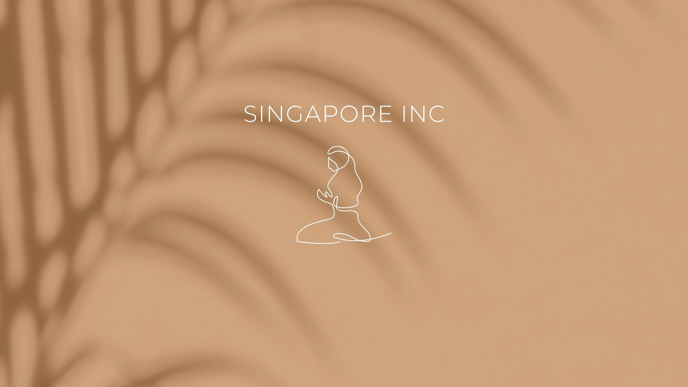 Singapore Inc